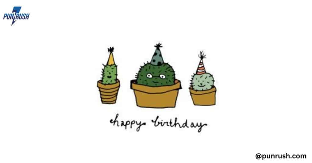 Cactus Puns for Birthdays