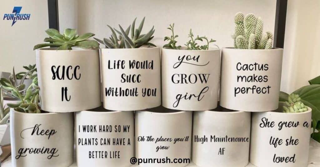 Cactus Puns for Instagram