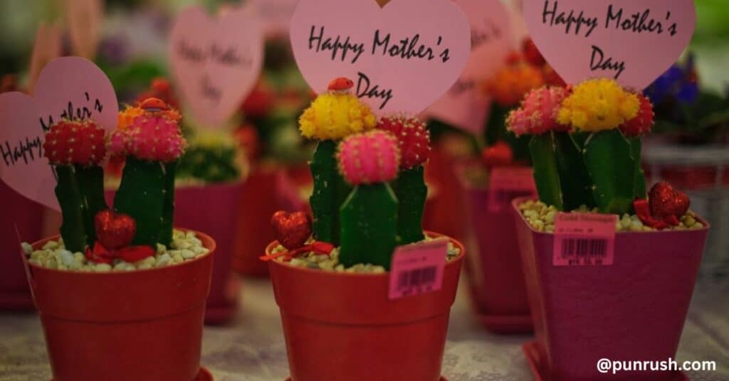 Cactus Puns for Mother’s Day