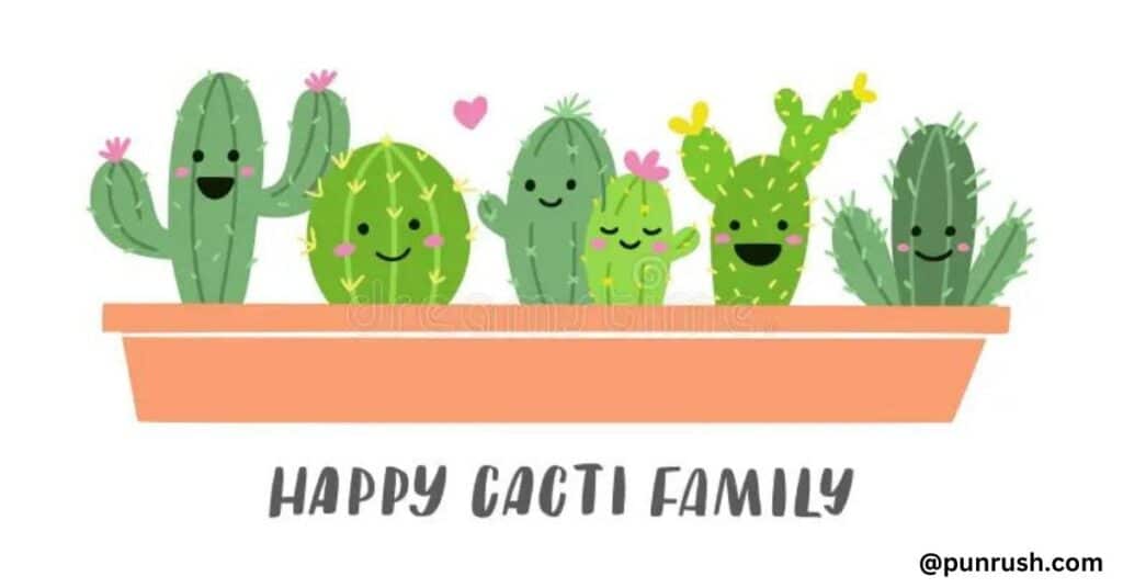 Funny Cactus Puns