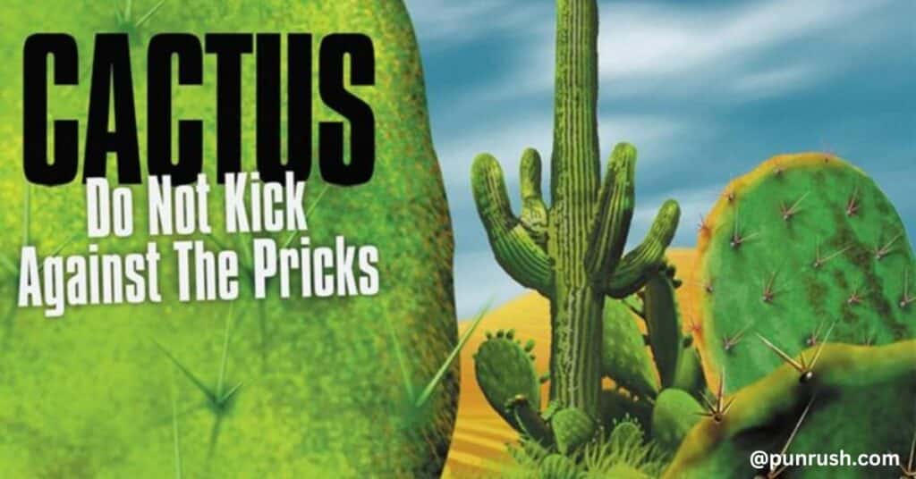 One Liner Cactus Puns