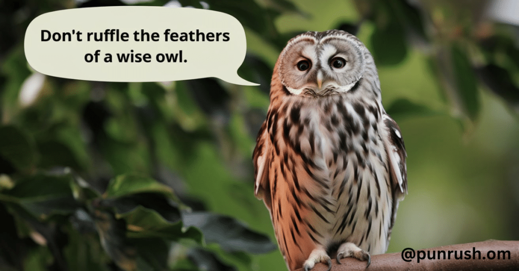 Owl Behavior Puns