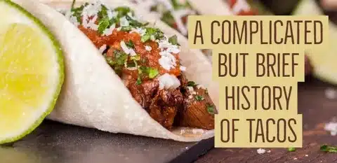 Taco Food Wordplay Puns