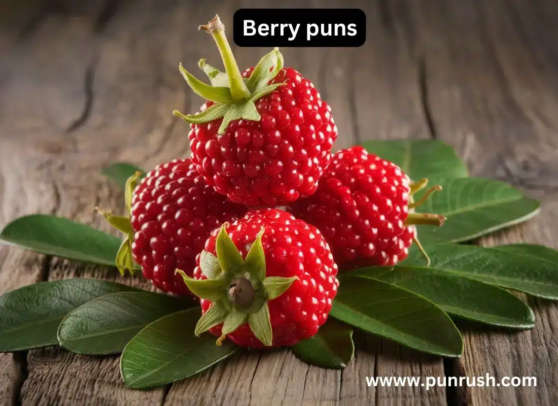 Berry puns