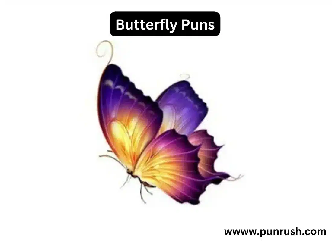 Butterfly Puns