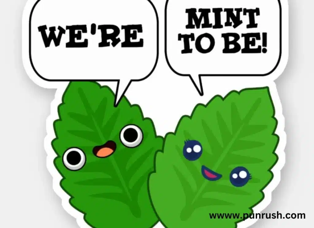  Clever Mint Puns to Freshen Up Your Humor