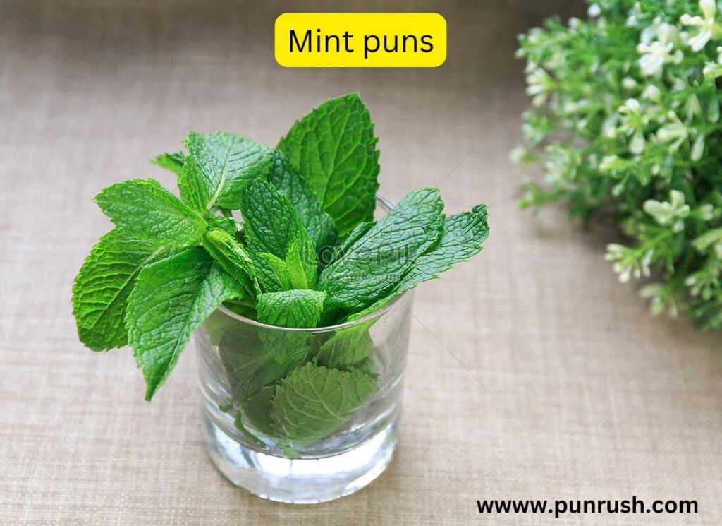 Mint puns