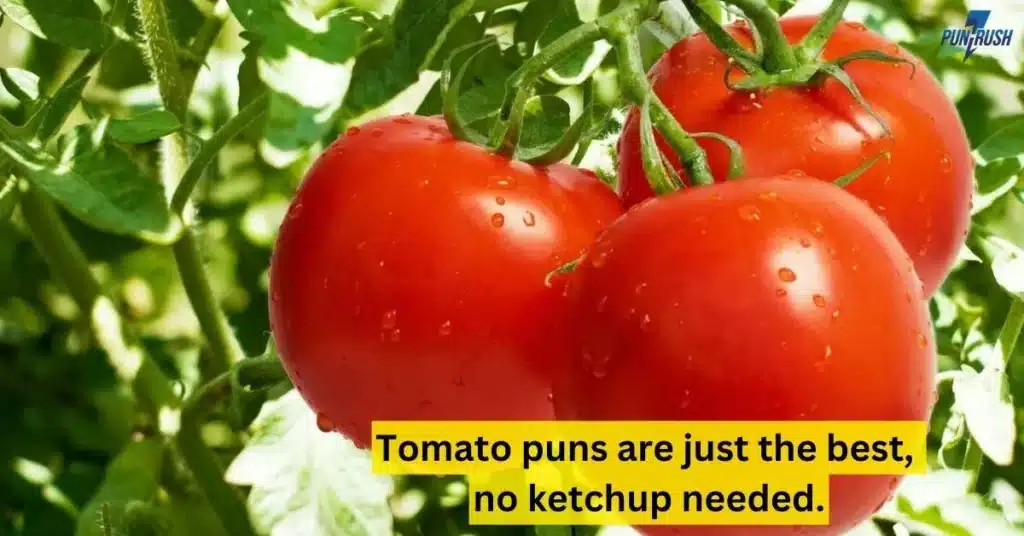 Tomato puns