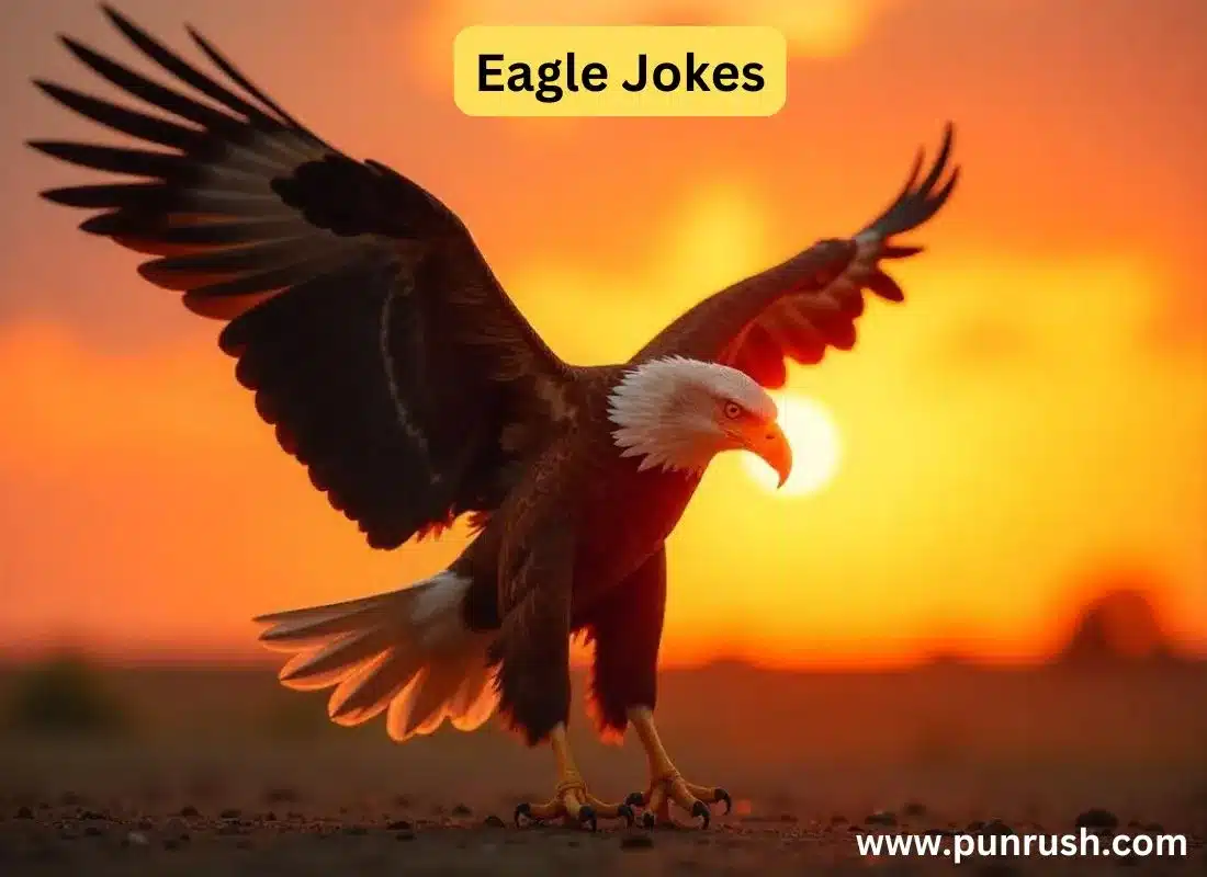 eagle jokes