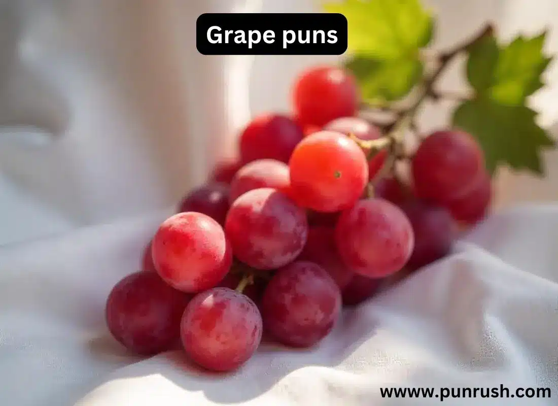 Grape puns