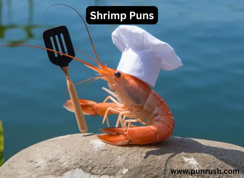 Shrimp Puns