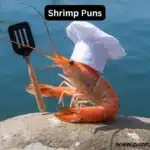 Shrimp Puns