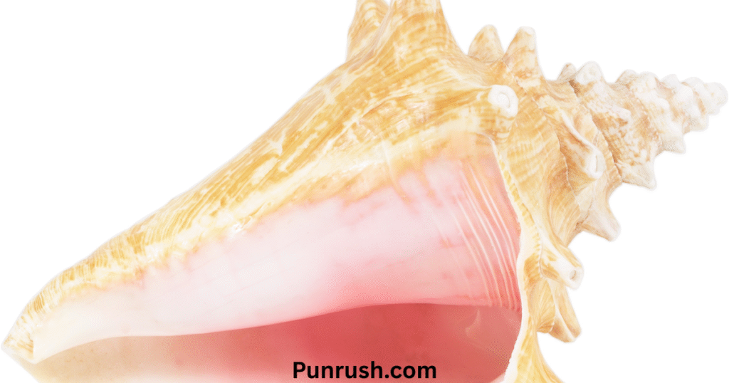 190+ Shell Puns That Will Make You Smile           