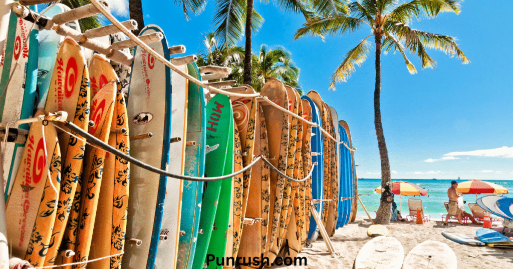 Beach, Surf & Sand Puns