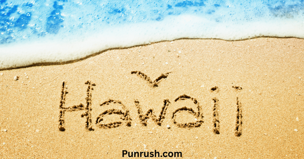   General Hawaii & Island Puns  