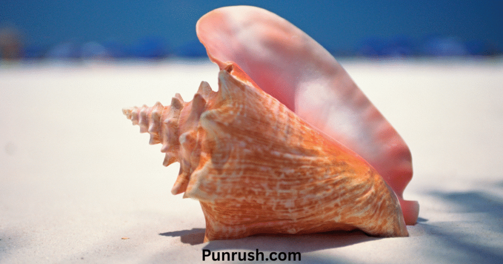 Tide, Wave, & Ocean Puns