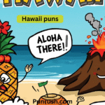 hawaii puns