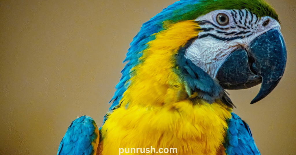 90+ Blue Puns That Are Anything But Sad