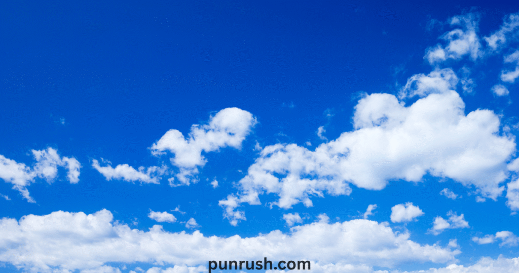 Fashion & Style Puns