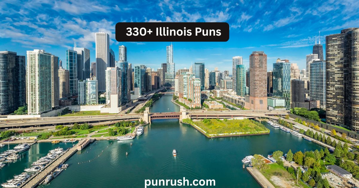 330+ Illinois Puns
