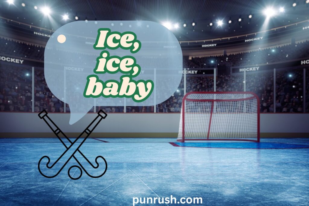 300+ Funny Hockey Puns That Will Score Big Laughs short one liner caption